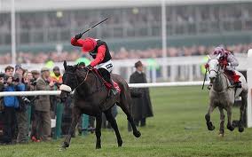 Ruby Walsh                                                                      